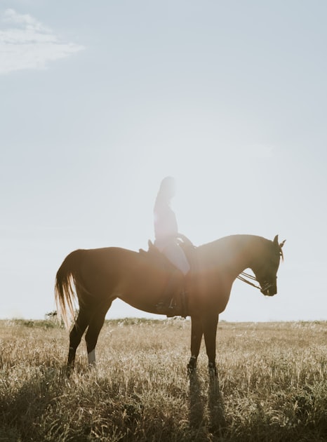 Embracing Personal Growth