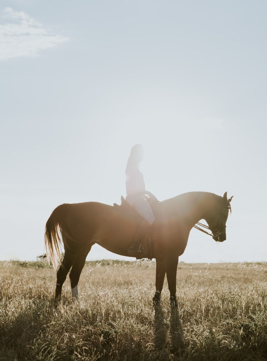 Silhouette of a rider on a brown horse against a bright sky, standing in tall grass during golden hour. Captures the serene bond between horse and rider.