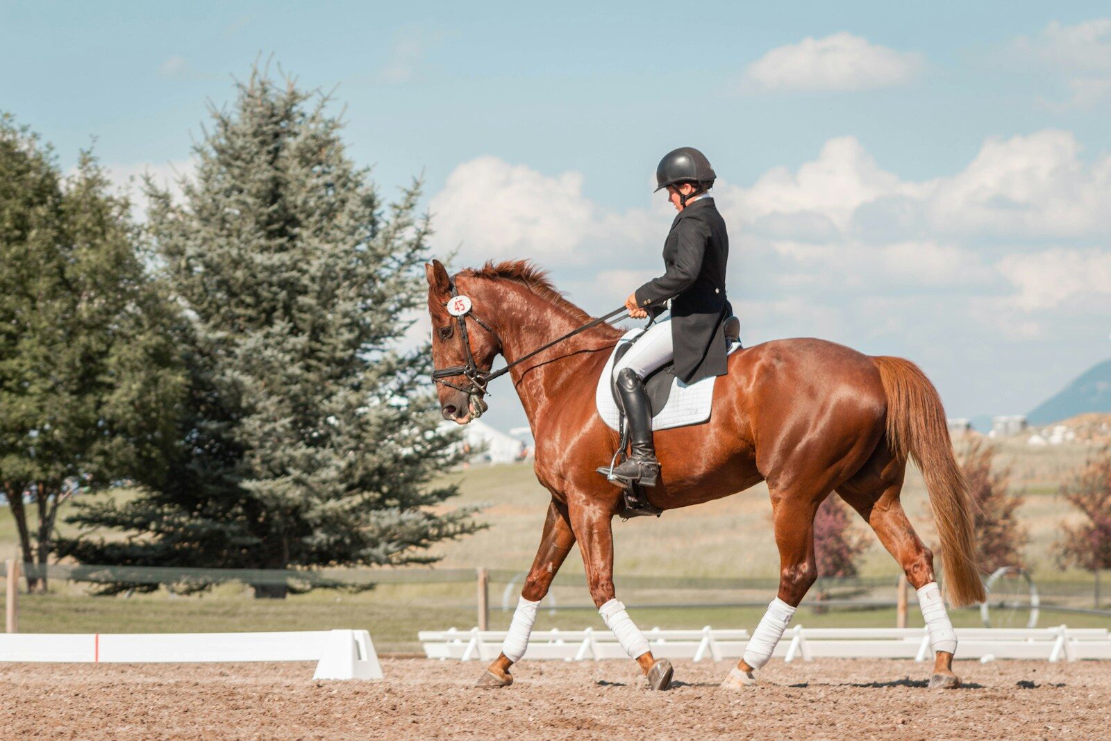 A rider in formal equestrian attire guides a chestnut horse in a dressage arena, showcasing skill and poise against a scenic backdrop.